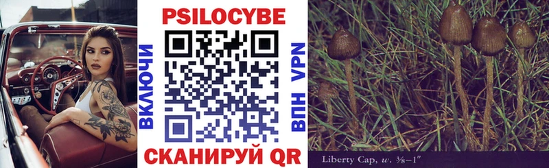 Псилоцибиновые грибы GOLDEN TEACHER  Новосибирск 