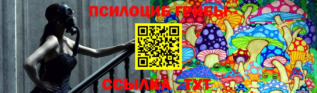 Новосибирск  Псилоцибиновые грибы прущие грибы  Вход с VPN 